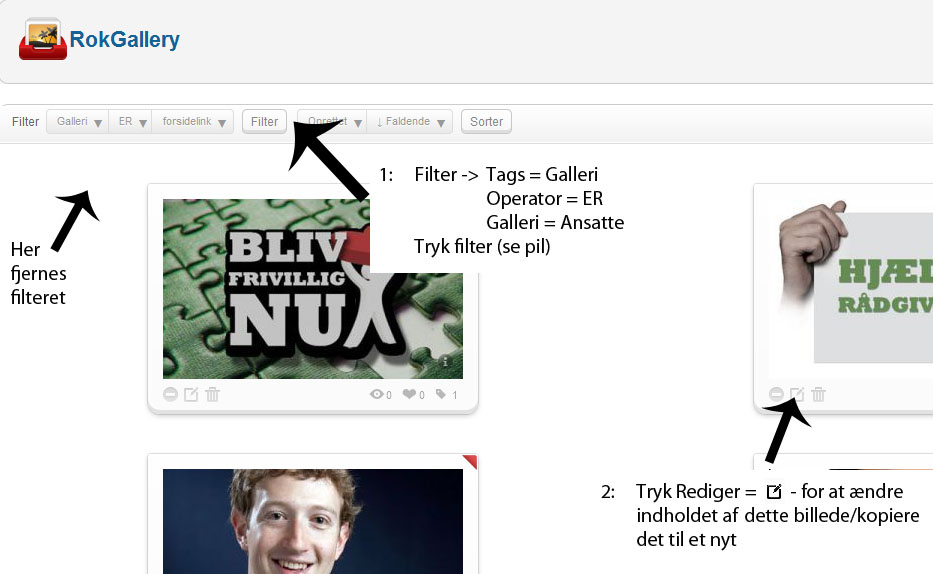 galleryredigeransatte